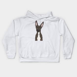 Cute brindle and white greyhound Kids Hoodie